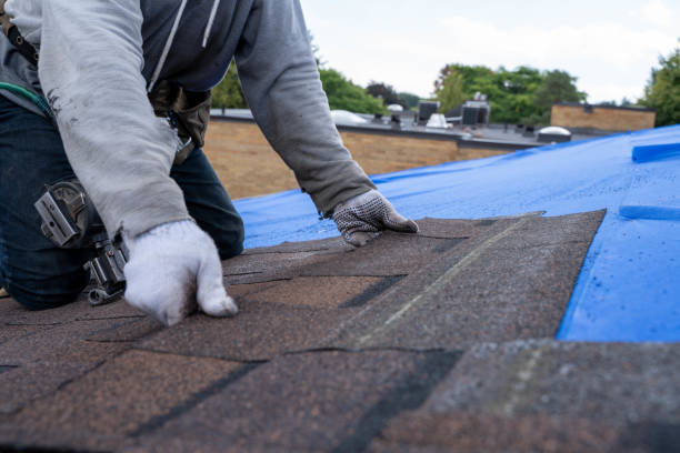 Best Flat Roof Repair Services  in Sumner, IA